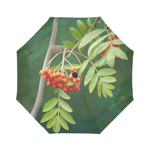 Watercolor Rowan tree - Sorbus aucuparia Auto-Foldable Umbrella (Model U04)