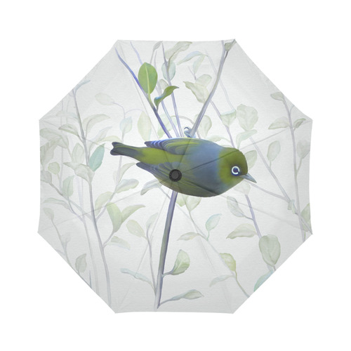 Silvereye, bird in tree, watercolor Auto-Foldable Umbrella (Model U04)
