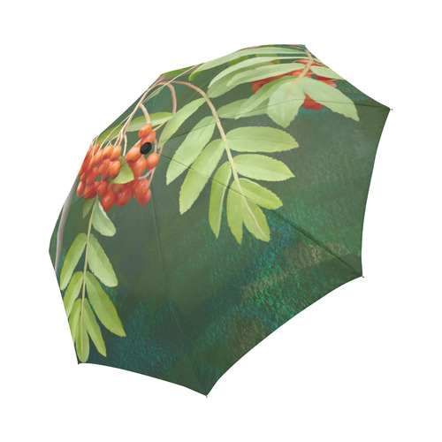 Watercolor Rowan tree - Sorbus aucuparia Auto-Foldable Umbrella (Model U04)