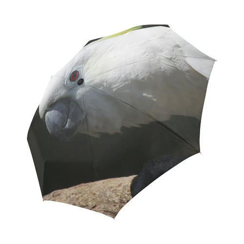 Cockatoo_2015_0506 Auto-Foldable Umbrella (Model U04)