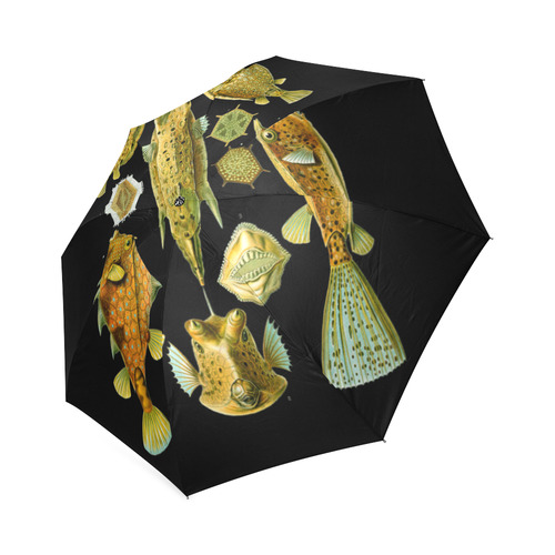 Box Fish Ernst Haeckel Fine Nature Art Foldable Umbrella (Model U01)