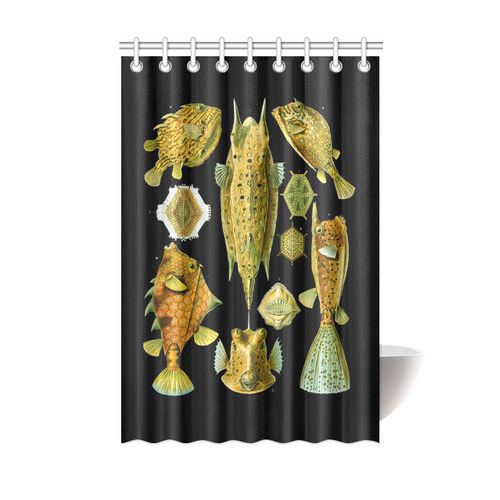 Box Fish Ernst Haeckel Fine Nature Art Shower Curtain 48"x72"