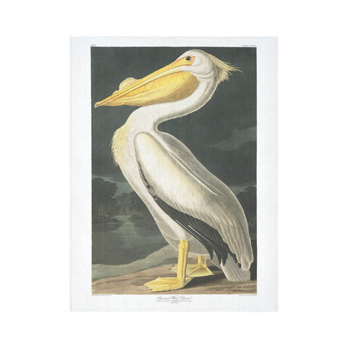 Audubon American White Pelican Cotton Linen Wall Tapestry 60"x 80"