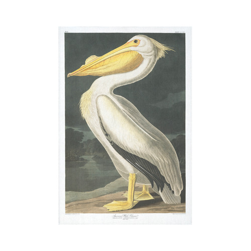 Audubon American White Pelican Cotton Linen Wall Tapestry 60"x 90"