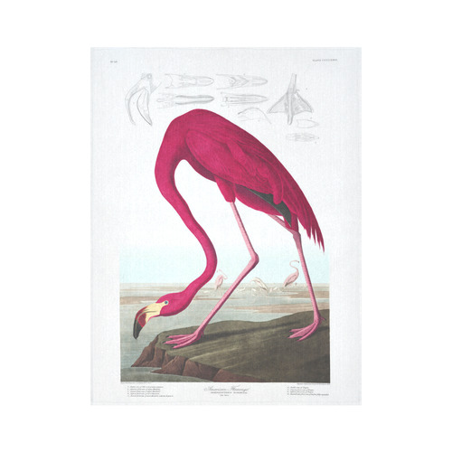 American Flamingo John James Audubon Cotton Linen Wall Tapestry 60"x 80"