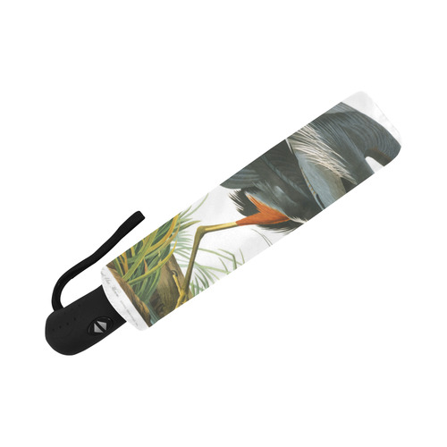 Audubon Great Blue Heron Nature Bird Auto-Foldable Umbrella (Model U04)