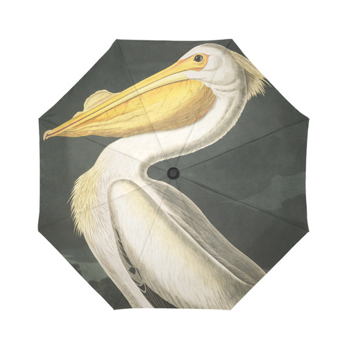 Audubon American White Pelican Auto-Foldable Umbrella (Model U04)