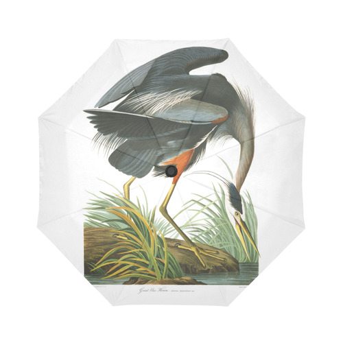 Audubon Great Blue Heron Nature Bird Auto-Foldable Umbrella (Model U04)