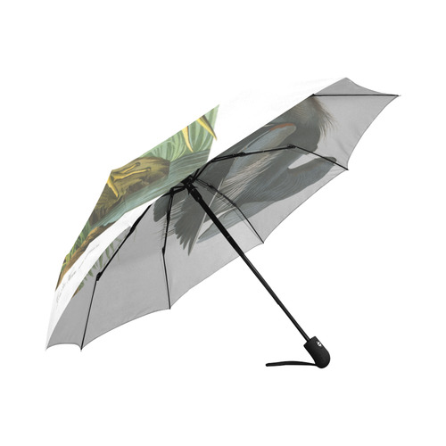 Audubon Great Blue Heron Nature Bird Auto-Foldable Umbrella (Model U04)