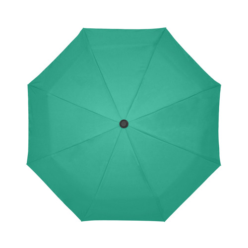 Emerald Auto-Foldable Umbrella (Model U04)