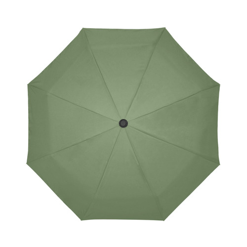Kale Auto-Foldable Umbrella (Model U04)