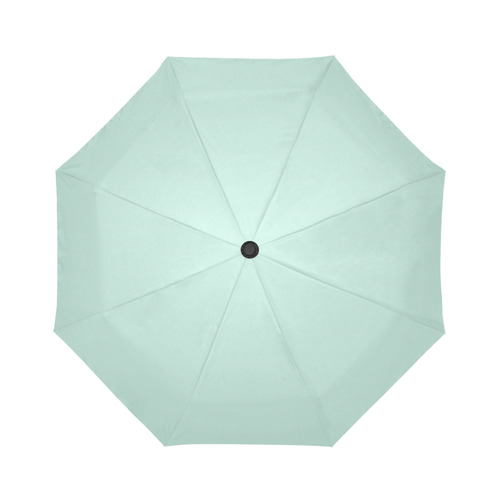 Honeydew Auto-Foldable Umbrella (Model U04)