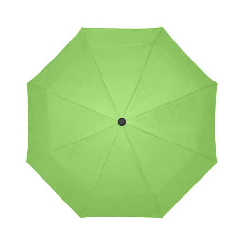 Jasmine Green Auto-Foldable Umbrella (Model U04)
