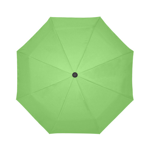 Green Flash Auto-Foldable Umbrella (Model U04)
