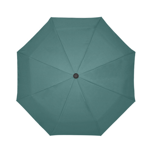Bayberry Auto-Foldable Umbrella (Model U04)