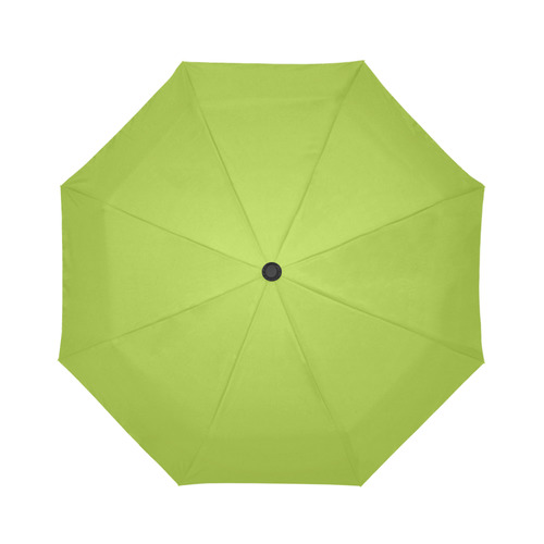 Lime Auto-Foldable Umbrella (Model U04)