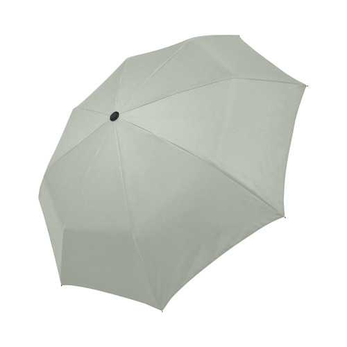 Desert Sage SOUTHWESTERN Auto-Foldable Umbrella (Model U04)