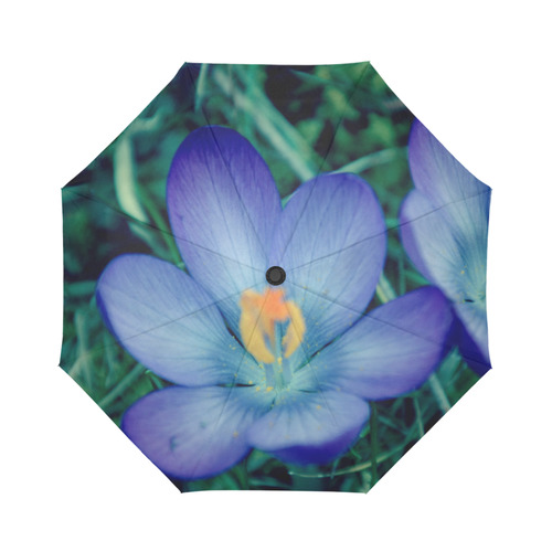 Violet Auto-Foldable Umbrella (Model U04)