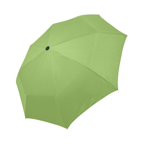 Greenery Auto-Foldable Umbrella (Model U04)