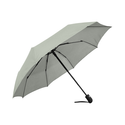Desert Sage SOUTHWESTERN Auto-Foldable Umbrella (Model U04)