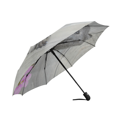 Little Guinea Pig Auto-Foldable Umbrella (Model U04)