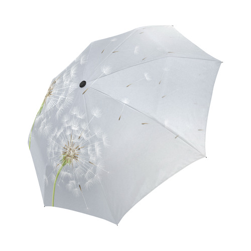 Beautiful White Dandelion Flower Floral Auto-Foldable Umbrella (Model U04)