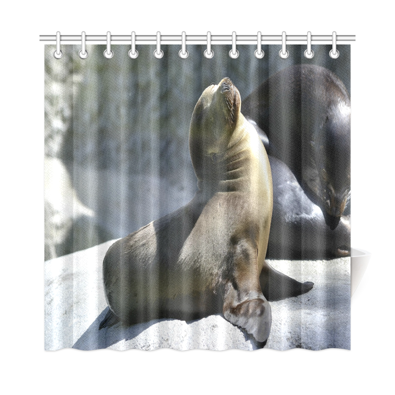 Baby Seal Shower Curtain 72"x72" ID D1143113