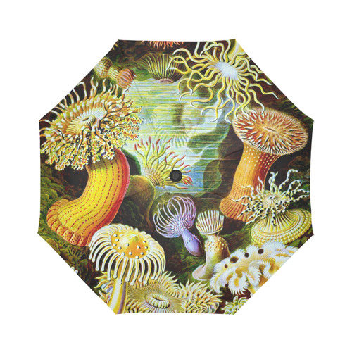 Sea Anemones Ernst Haeckel Fine Art Auto-Foldable Umbrella (Model U04)