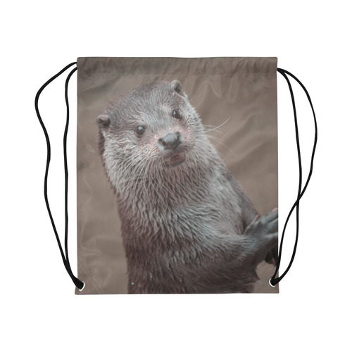 sweet young otter Large Drawstring Bag Model 1604 (Twin Sides)  16.5"(W) * 19.3"(H)