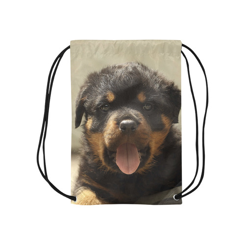 Rottweiler20150905 Small Drawstring Bag Model 1604 (Twin Sides) 11"(W) * 17.7"(H)