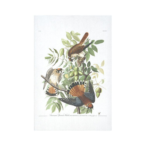 Audubon American Sparrow Hawk Birds of America Cotton Linen Wall Tapestry 60"x 90"