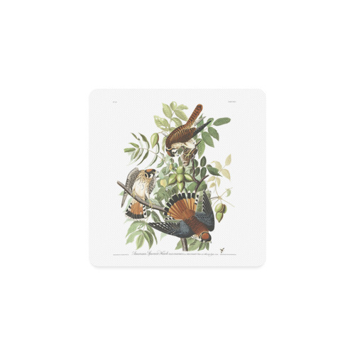 Audubon American Sparrow Hawk Birds of America Square Coaster