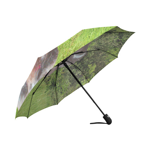 Dog Wirehaired Pointing Griffon Auto-Foldable Umbrella (Model U04)