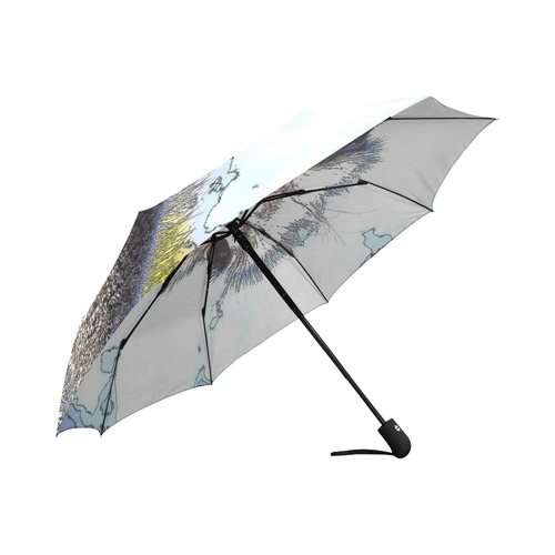 Ostrich_2015_0701 Auto-Foldable Umbrella (Model U04)
