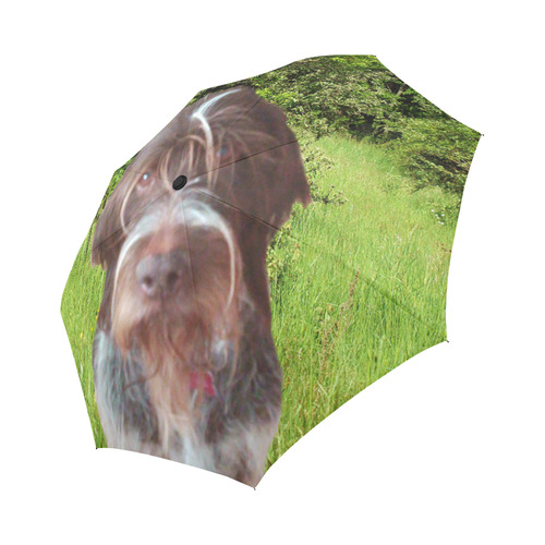 Dog Wirehaired Pointing Griffon Auto-Foldable Umbrella (Model U04)