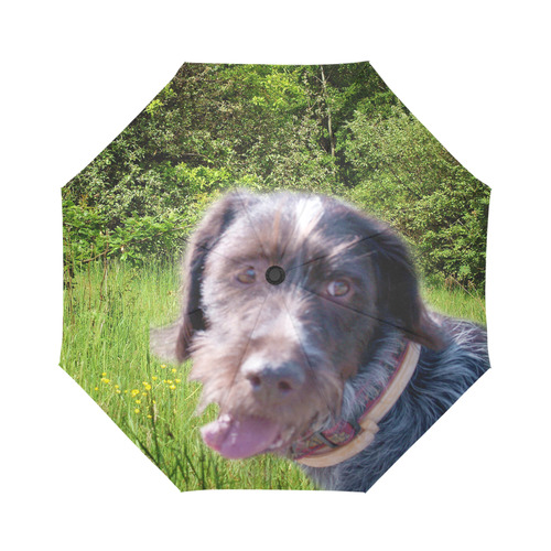 Dog Wirehaired Pointing Griffon Auto-Foldable Umbrella (Model U04)