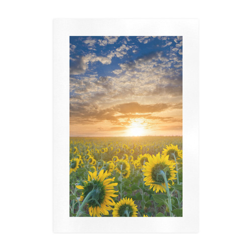 Sunflower Field at the Morning Art Print 19‘’x28‘’