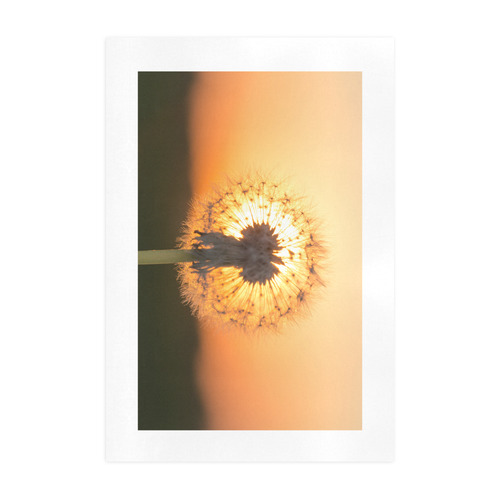 Dandelions in Meadow at Red Sunset Art Print 19‘’x28‘’