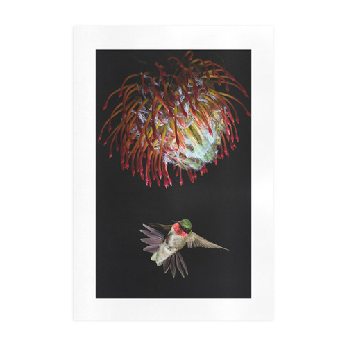 Hummingbird and Flowers Art Print 19‘’x28‘’