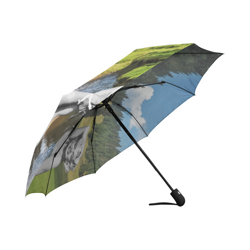 Marilyn In Transylvania Umbrella Auto-Foldable Umbrella (Model U04)