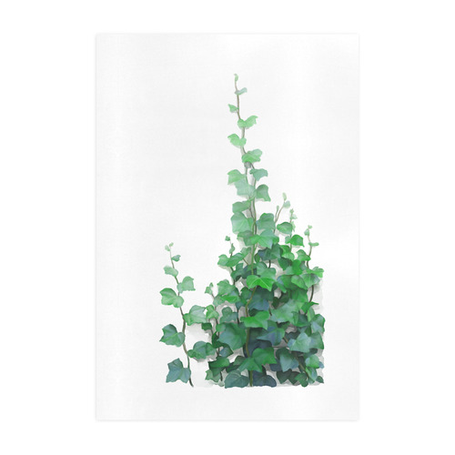 Watercolor Ivy - Vines, plant watercolor Art Print 19‘’x28‘’