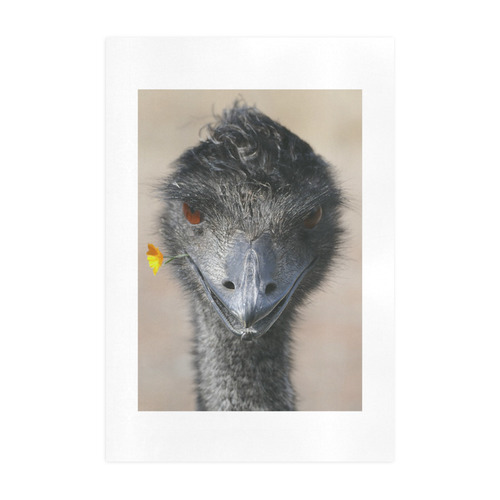Happy Emu photo Art Print 19‘’x28‘’