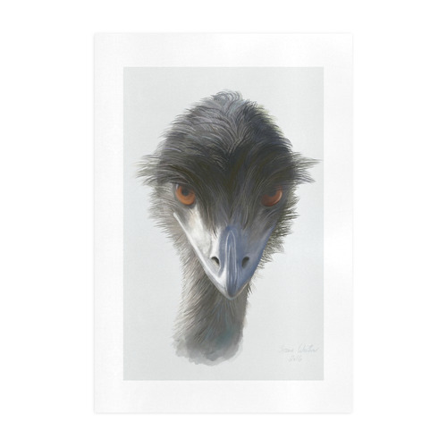 Skeptical Emu, watercolor bird Art Print 19‘’x28‘’