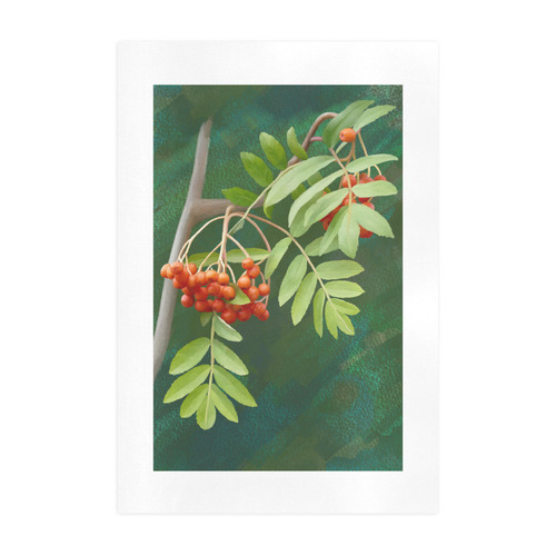 Plant Watercolor Rowan tree - Sorbus aucuparia Art Print 19‘’x28‘’