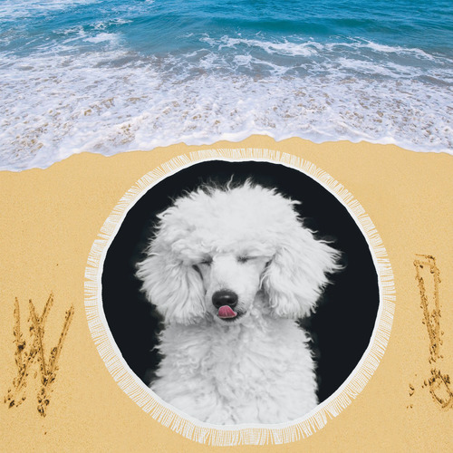 Silly White Poodle Circular Beach Shawl 59"x 59"