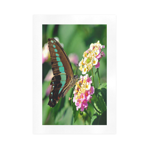 Swallowtail Butterfly Art Print 16‘’x23‘’