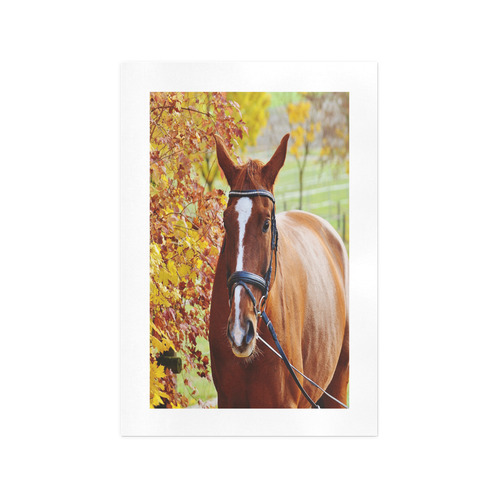 Autumn Horse Art Print 13‘’x19‘’