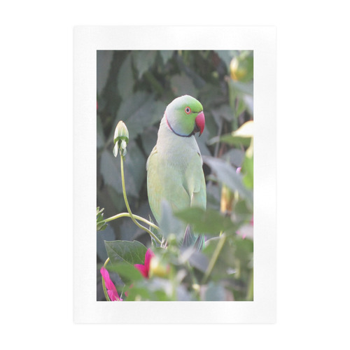 Colorful Parakeet Art Print 19‘’x28‘’