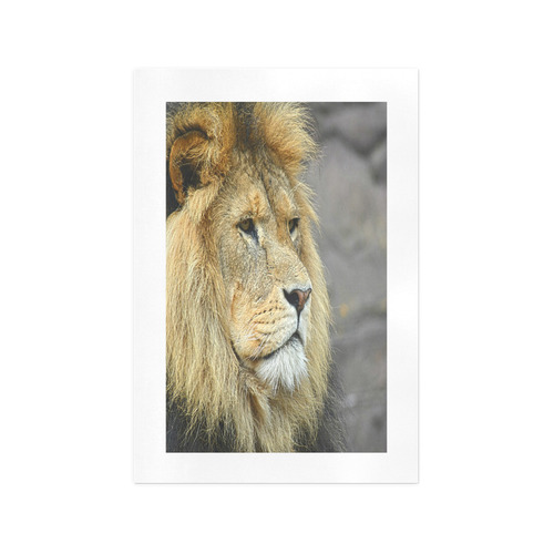 Majestic Lion Art Print 13‘’x19‘’