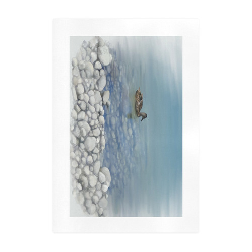 Swimming Duck, watercolor bird Art Print 19‘’x28‘’